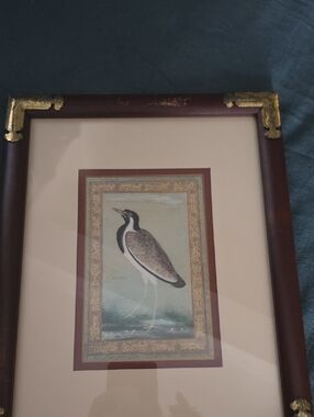 Framed Vintage-Style Bird Print in Brown & Gold Frame